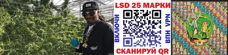 Марки N-bome 1500мкг  купить закладку  Калтан 