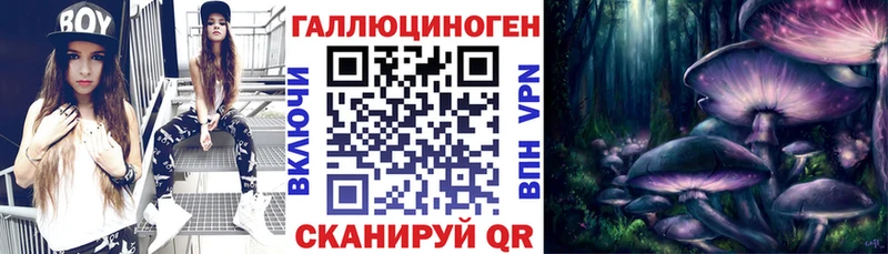 Галлюциногенные грибы Psilocybe  Калтан 